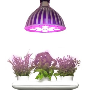 led-grow-lights-herbs